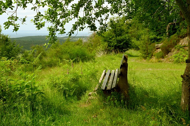 性有助于球 性有助于球