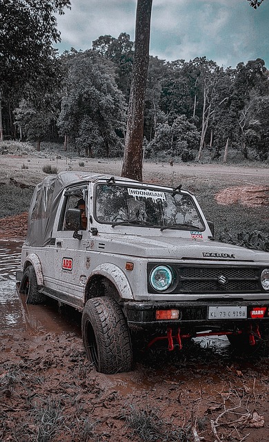 内的微妙平 内的微妙平