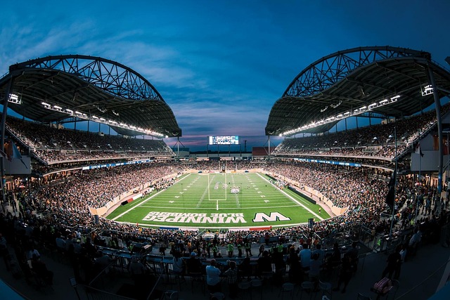 他不仅拥有 他不仅拥有